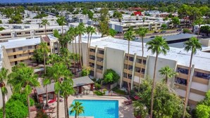 A resort with a swimming pool surrounded by palm trees and sun loungers. - Retro Condo Extreme High End finishings (Scottsdale)