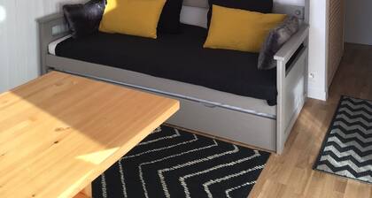 STUDIO CABINE 4PERS ESXPOSE SUD PIED PISTE