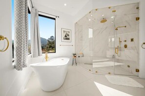 Shower, hair dryer, towels