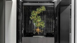 Un intérieur moderne au design minimaliste, agrémenté d’une plante d’ornement centrale et de surfaces sombres et réfléchissantes.