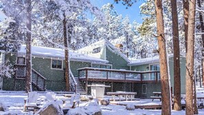 A lodge with a covered deck, stone seating, and snow-covered trees. - THE FAMILY FOREST · ★3 Acres Of Forest★Lighted Yard★Chef Kitchen★ (Colorado Springs)
