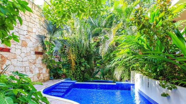 Una piscina circondata da vegetazione rigogliosa e pareti in pietra.