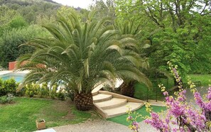 Ein Garten mit Palmen, einem Pool und einer kleinen Brücke.