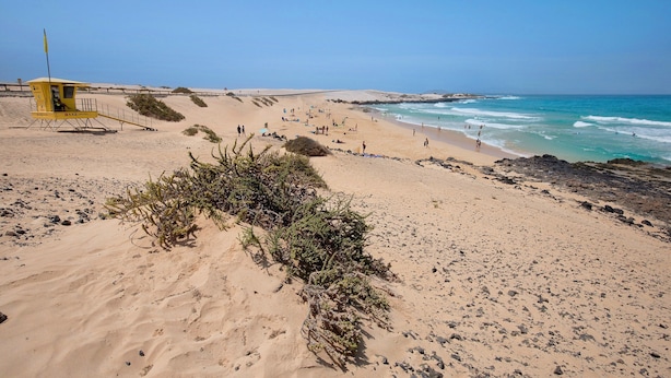 Une plage avec un poste de surveillance pour les sauveteurs, des dunes de sable et des vagues.