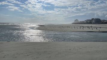 Plage à proximité