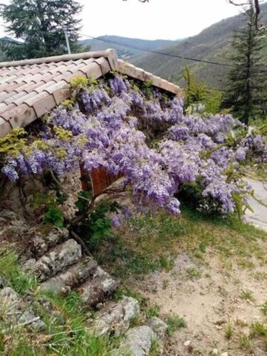Charmant gîte studio en Ardèche verte
