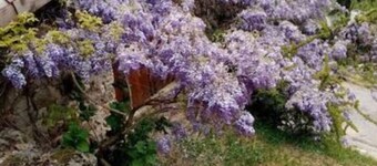 Charming gîte studio in Ardèche verte
