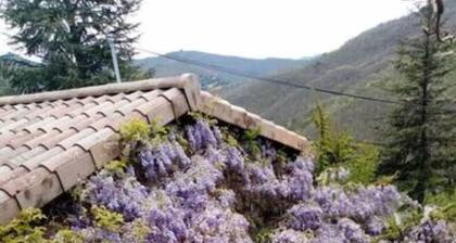 Charmant gĂźte studio en ArdĂšche verte