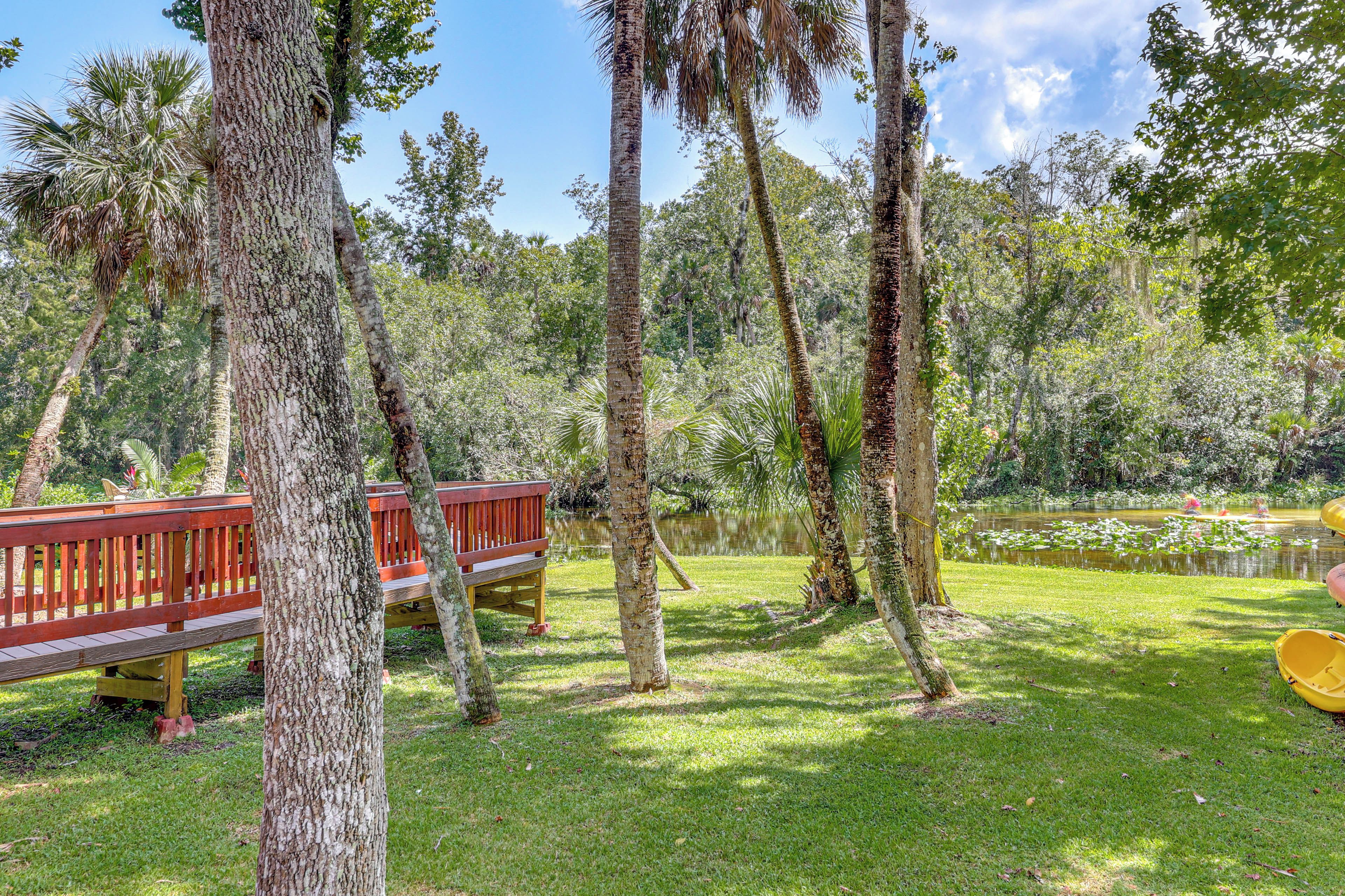 A park with a wooden deck, a pond with lily pads, and various trees.