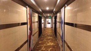 Un corridoio con tappeto decorato, pareti a specchio e una porta in fondo.