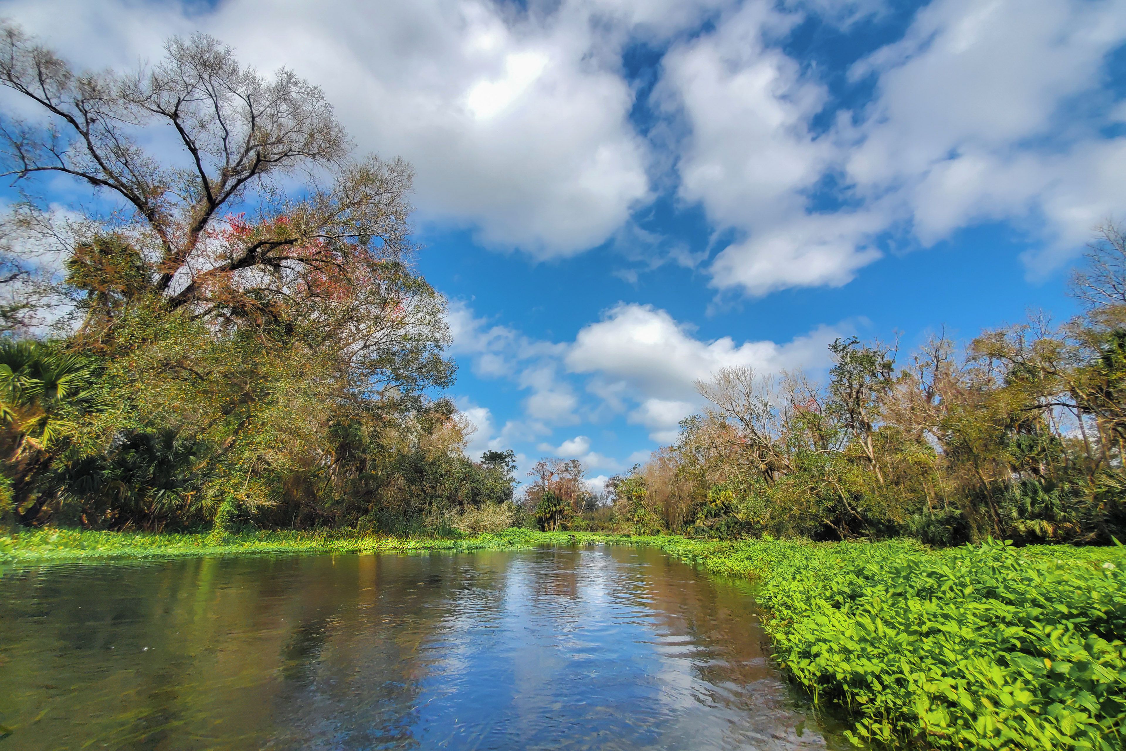 Une rivière bordée d’une végétation luxuriante de chaque côté, un ciel dégagé et quelques nuages.