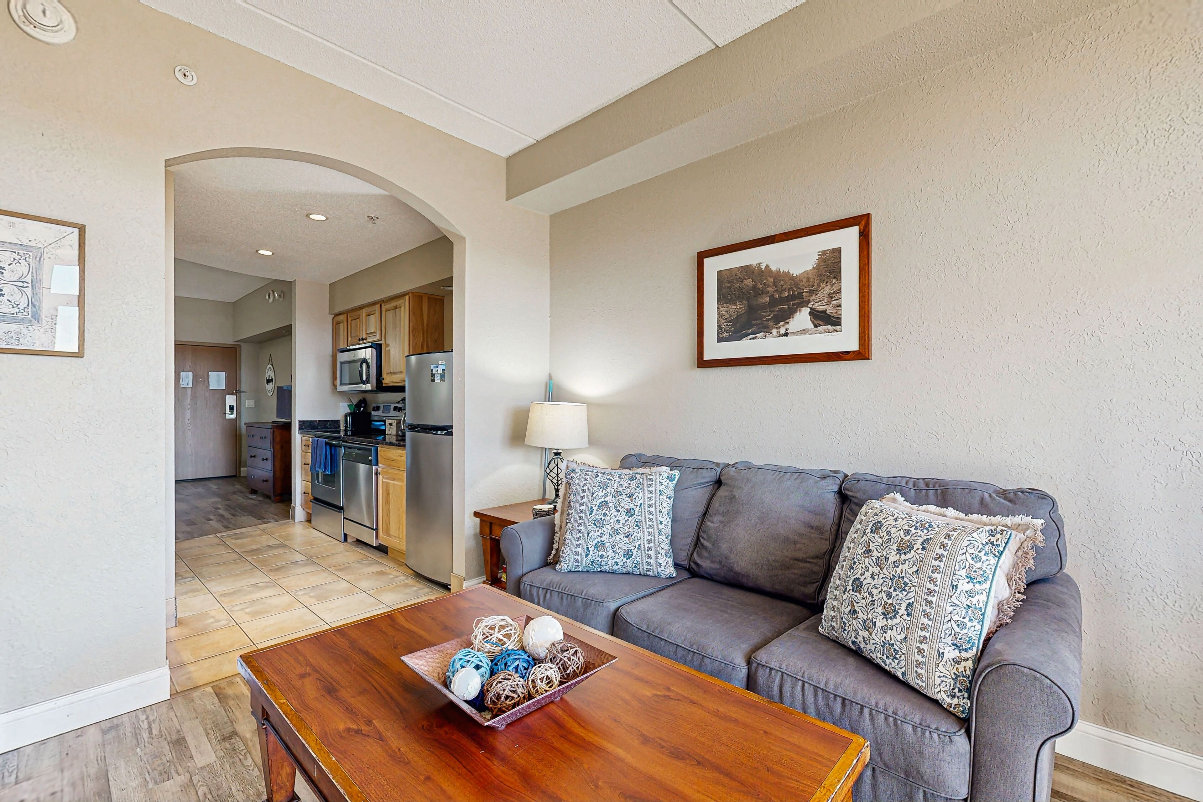 Télévision, cheminée, lecteur de DVD