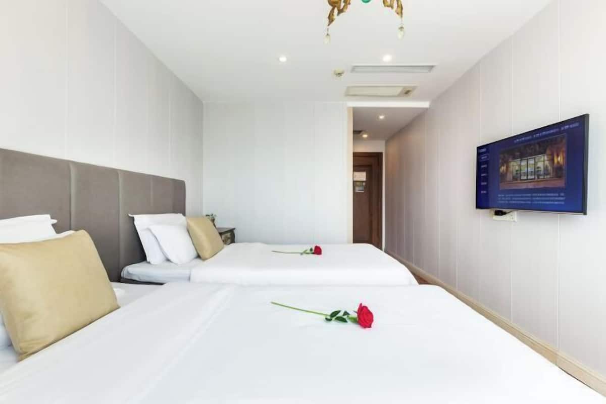 Quarto de hotel com duas camas, uma televisão na parede e uma rosa na cama.