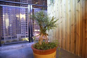 Interior - lanyi Hotel (Guiding)