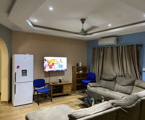 Télévision, cheminée, chaîne hi-fi