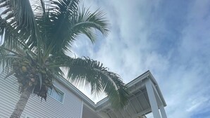 A multi-story building with white exterior walls, balconies with white railings, and a palm tree in the foreground. - Bimini Home at the Beach (Bimini)