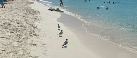 Plage