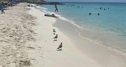 Bimini Home at the Beach