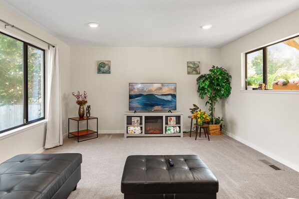 Smart TV, fireplace, books, offices