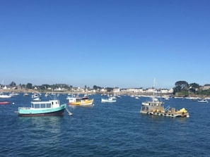 Jachthaven