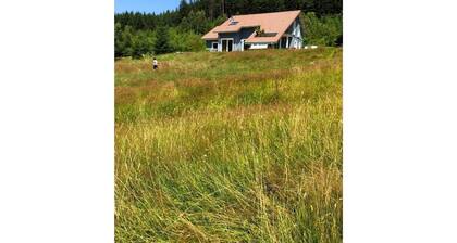 Le Chalet Bleu. A lâorĂ©e de la forĂȘt. 7 personnes.