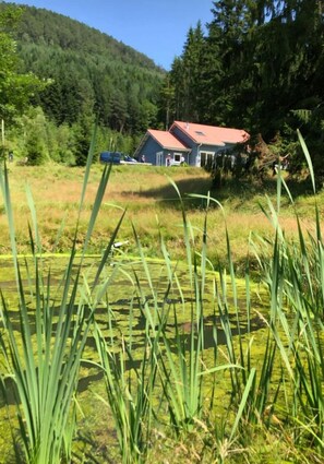 Property grounds - Le Chalet Bleu. On the edge of the forest. Sleeps 7. (Allarmont)