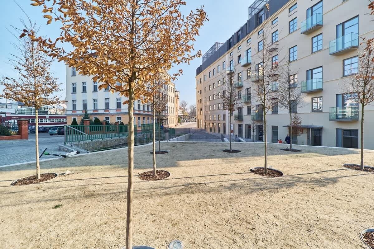 Jardines del alojamiento