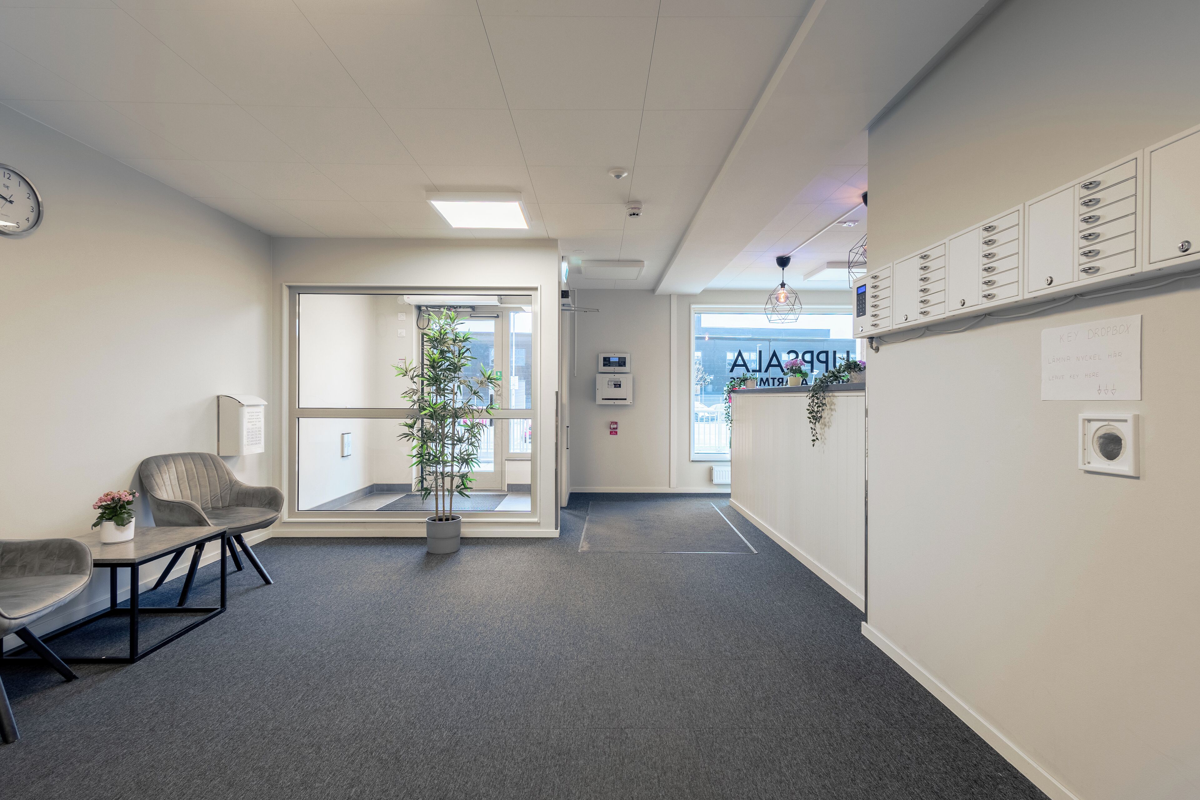 Un espacio de oficina moderno con zona de recepción, una planta, un reloj y un mueble de almacenamiento en la pared.