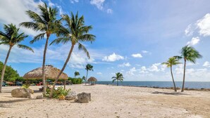 A beach with palm trees, thatched-roof huts, and a clear sky.