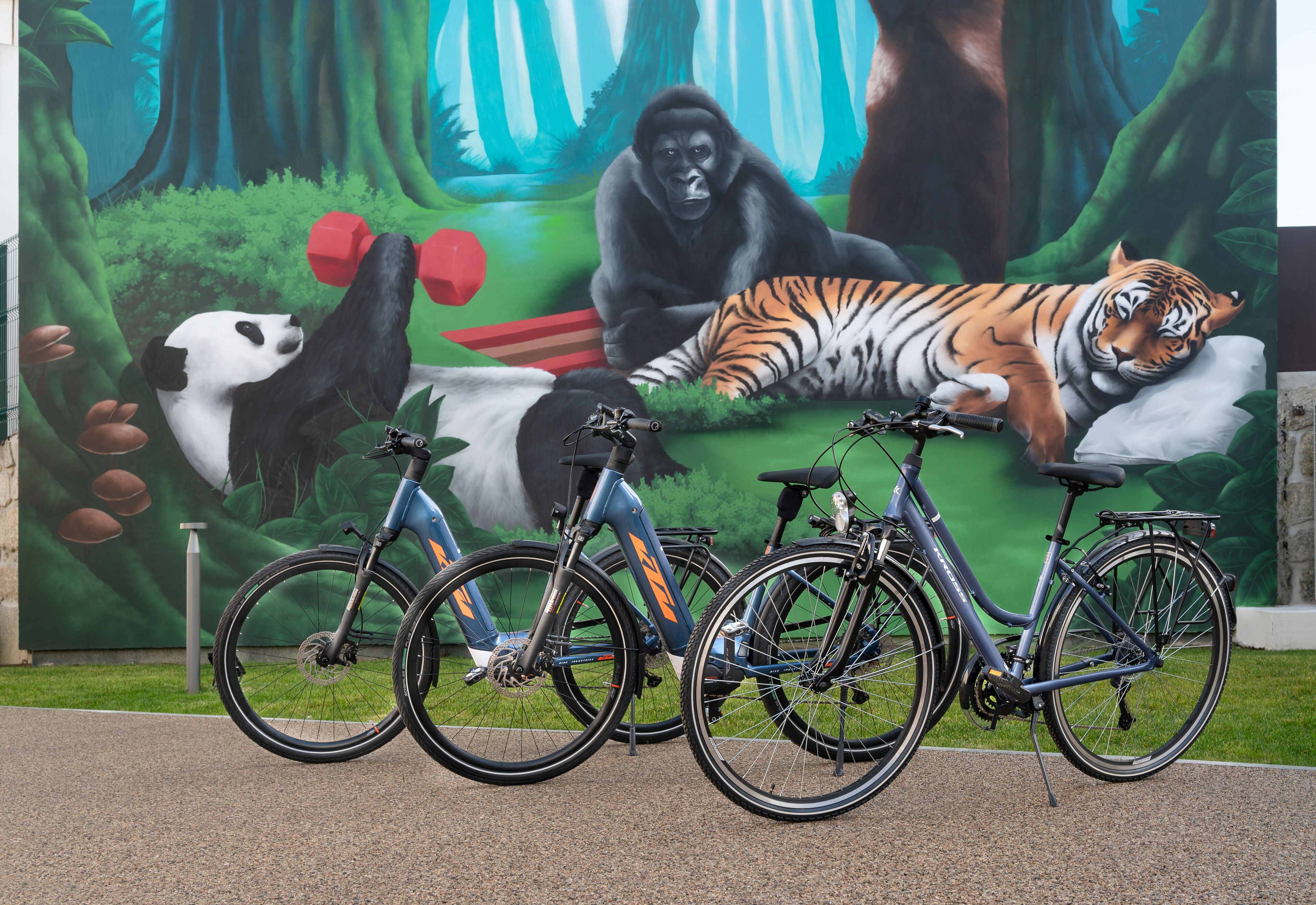 Photo - BFRESH Hotel - Padel, Pool & Fitness - Adults Only