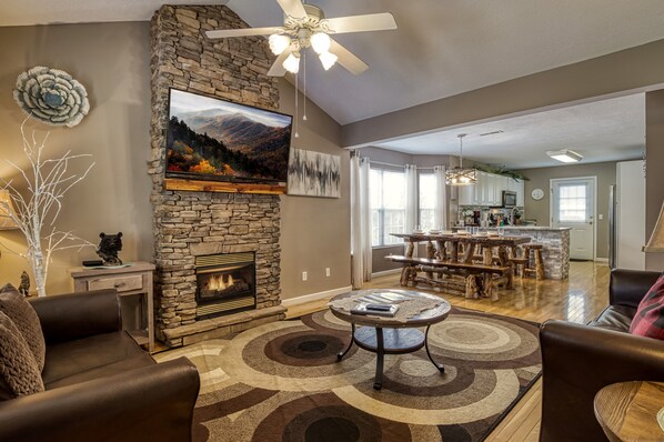 TV, fireplace, video games