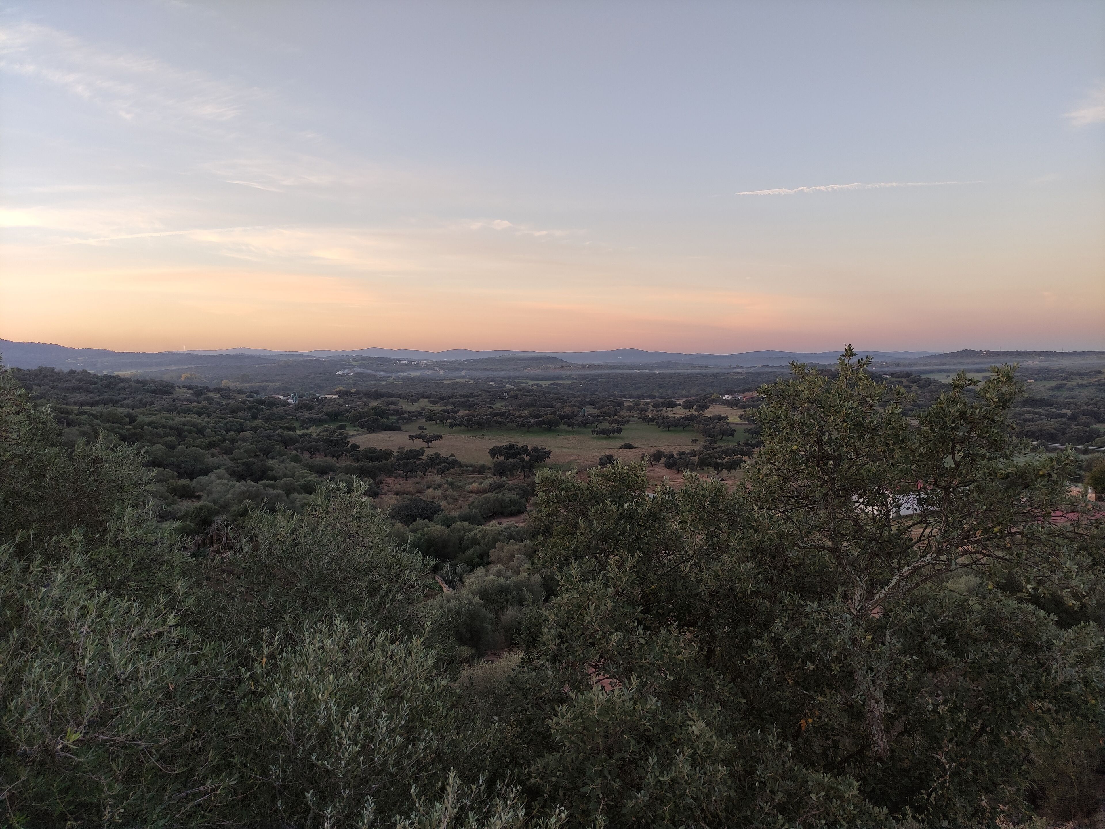 A panoramic view of a hilly landscape with dense vegetation and scattered trees.