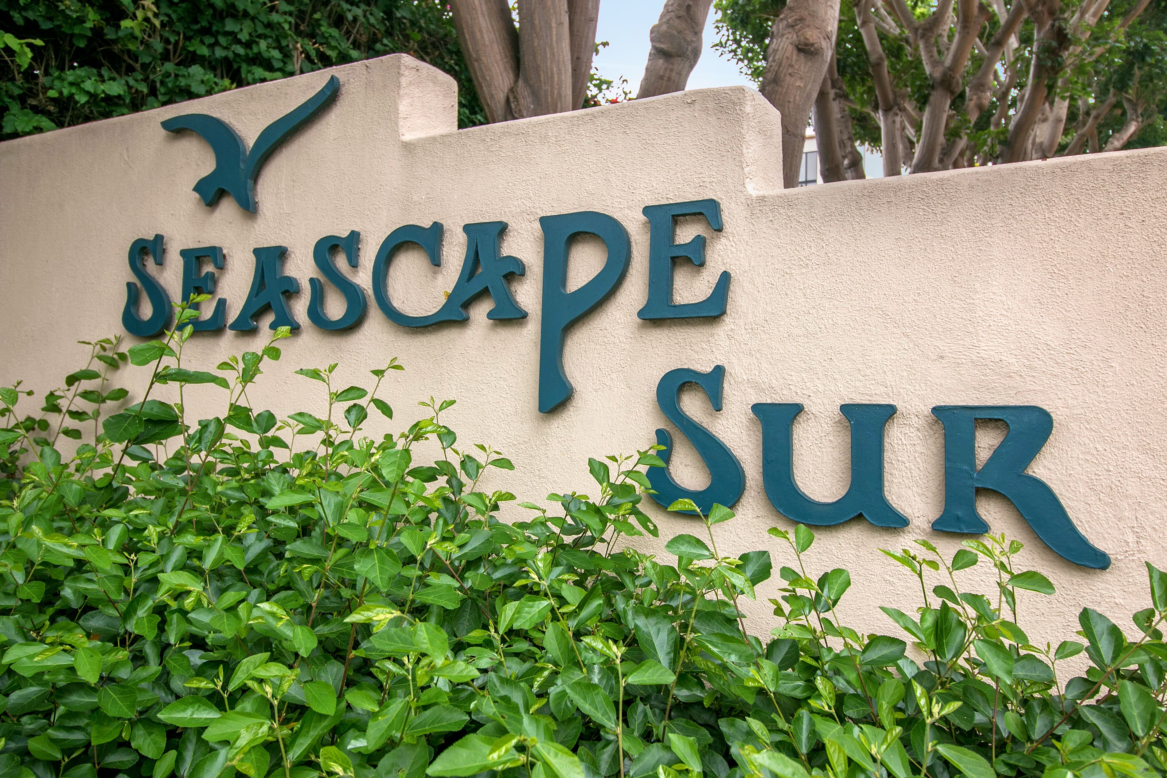 A sign with the words "SEASCAPE SUR" in large blue letters, surrounded by lush green foliage.