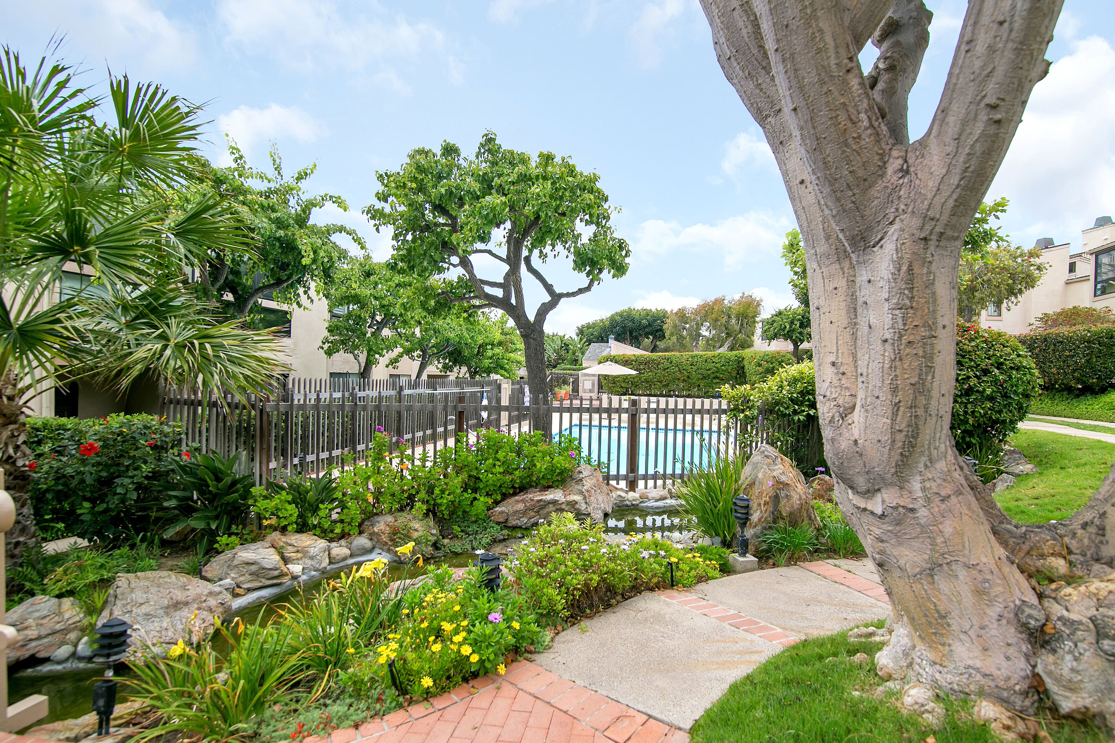 A landscaped garden with a swimming pool, a wooden fence, and various plants and rocks.