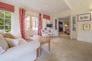 Televisión, chimenea y reproductor de DVD 