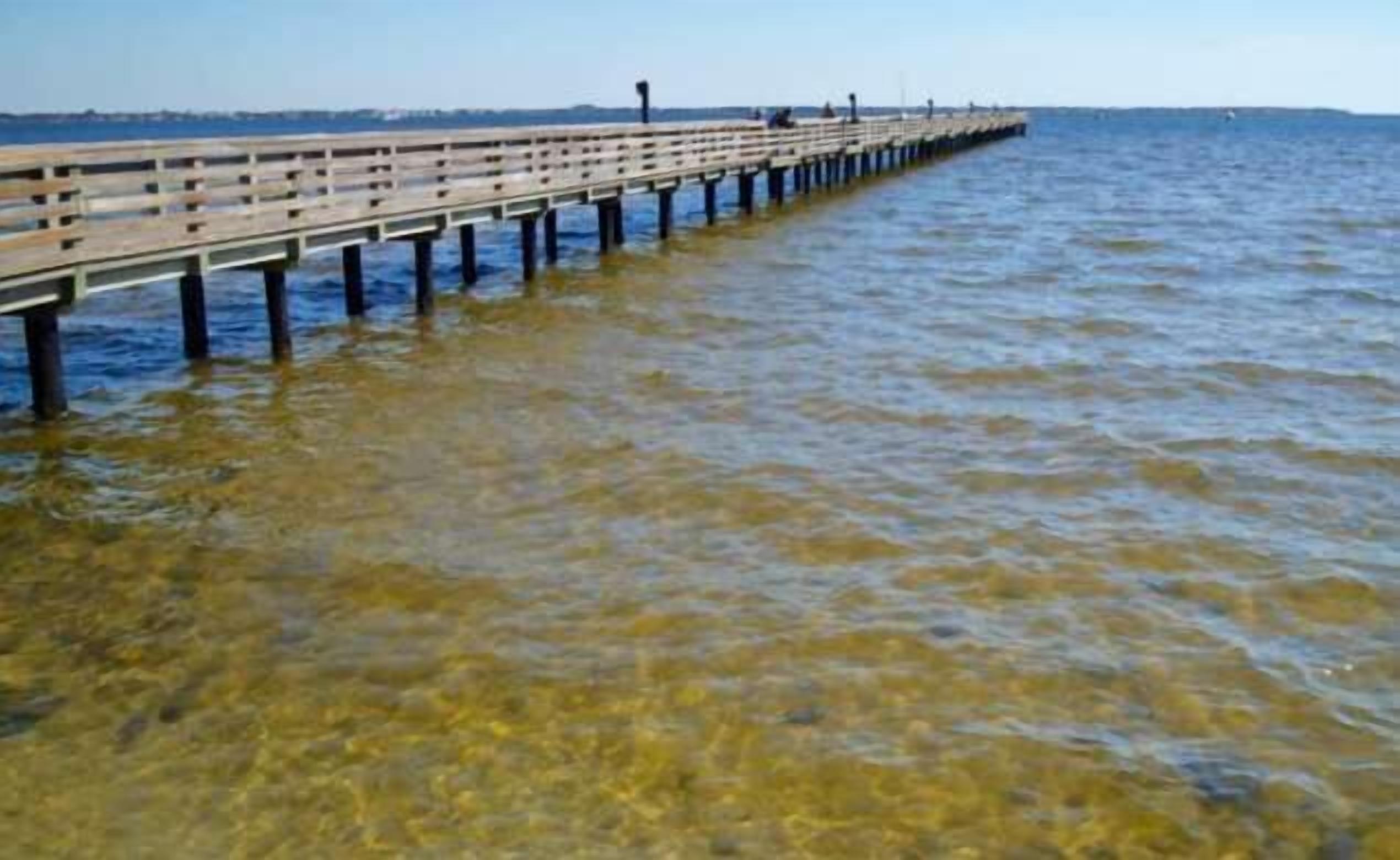 Un muelle de madera que se adentra en una masa de agua con aguas claras y rocas visibles.
