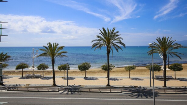 A beach with palm trees and a clear blue sky. - PLAYAZUL 2 Apartment (Cambrils)