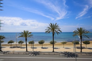 Ein Strand mit Palmen, blauem Himmel und dem Meer.