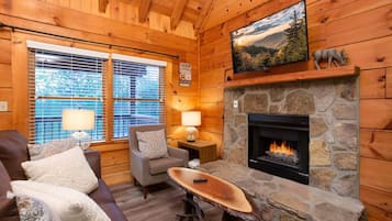 Fernseher, Kamin, Arbeitsbereiche