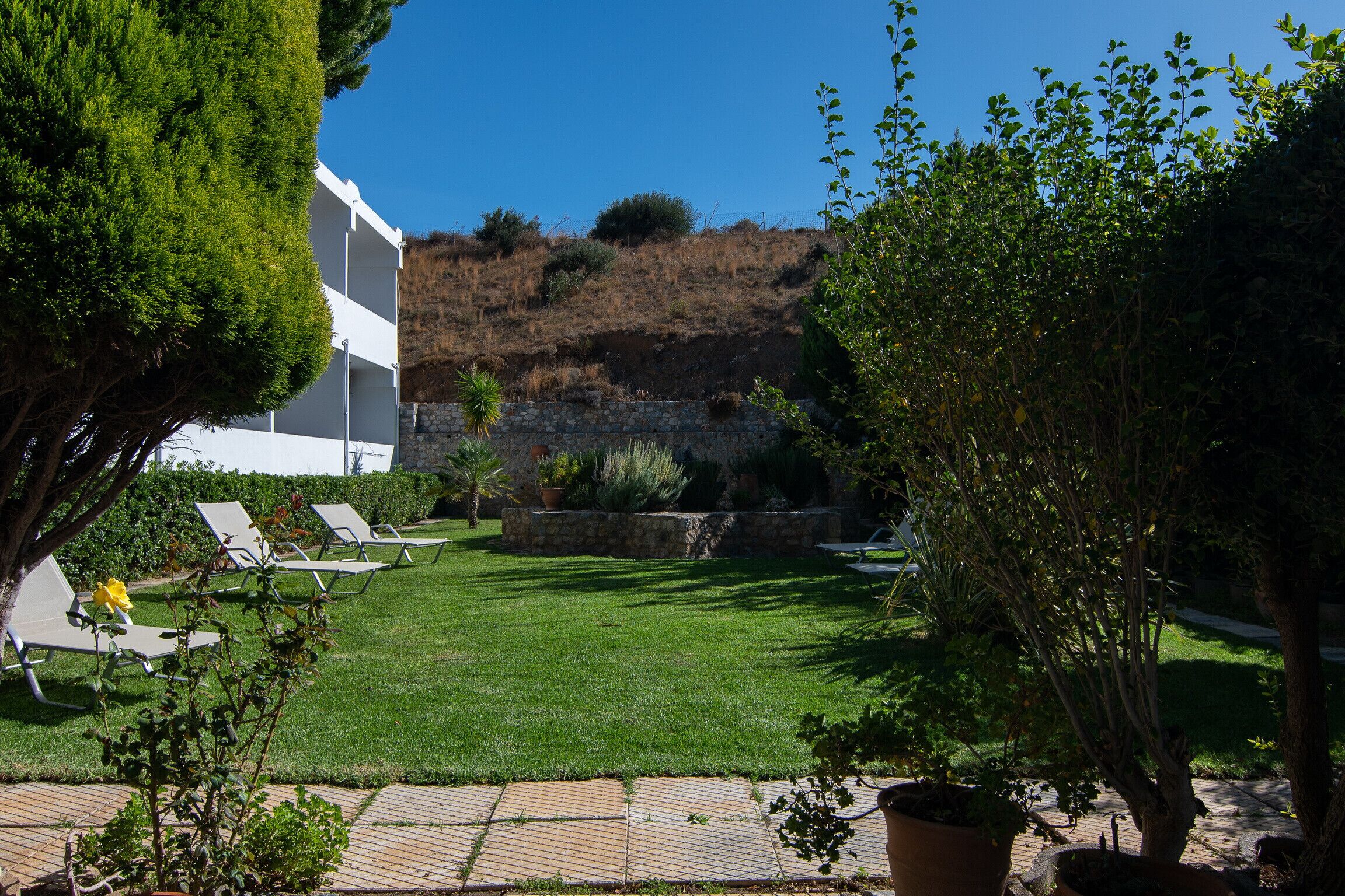 A courtyard with a lawn, lounge chairs, and potted plants.
