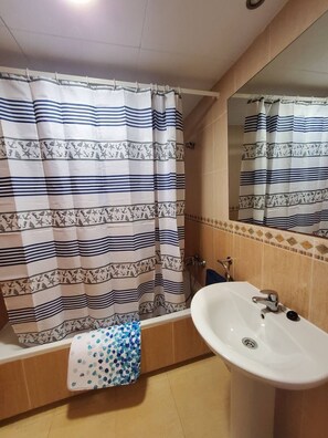 Bathtub, hair dryer, bidet, towels