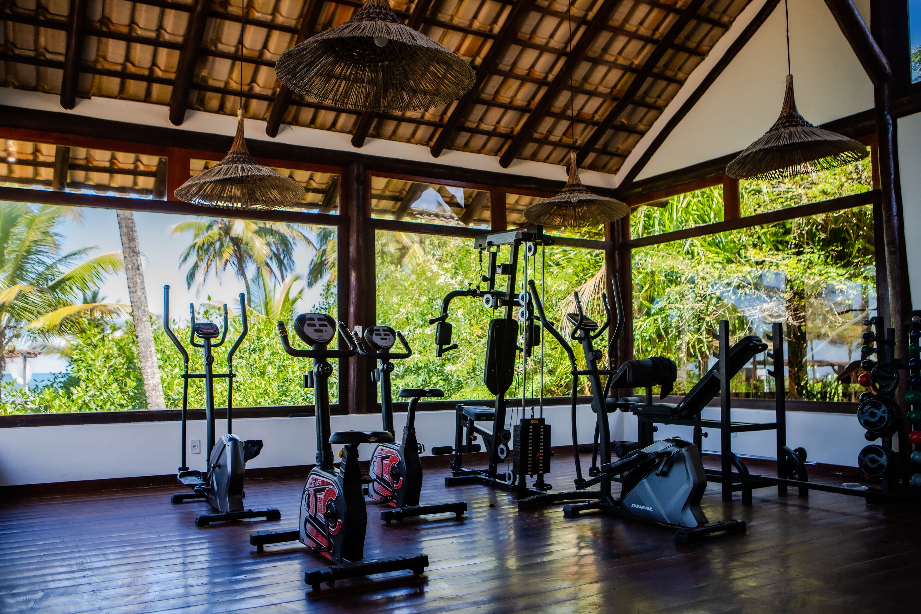 Une salle de sport équipée de divers appareils d’exercice, de grandes fenêtres offrant une vue sur les palmiers et un plafond en bois.