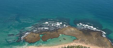 An aerial view of a coastal area with a beach, clear waters, and a densely vegetated area with buildings.