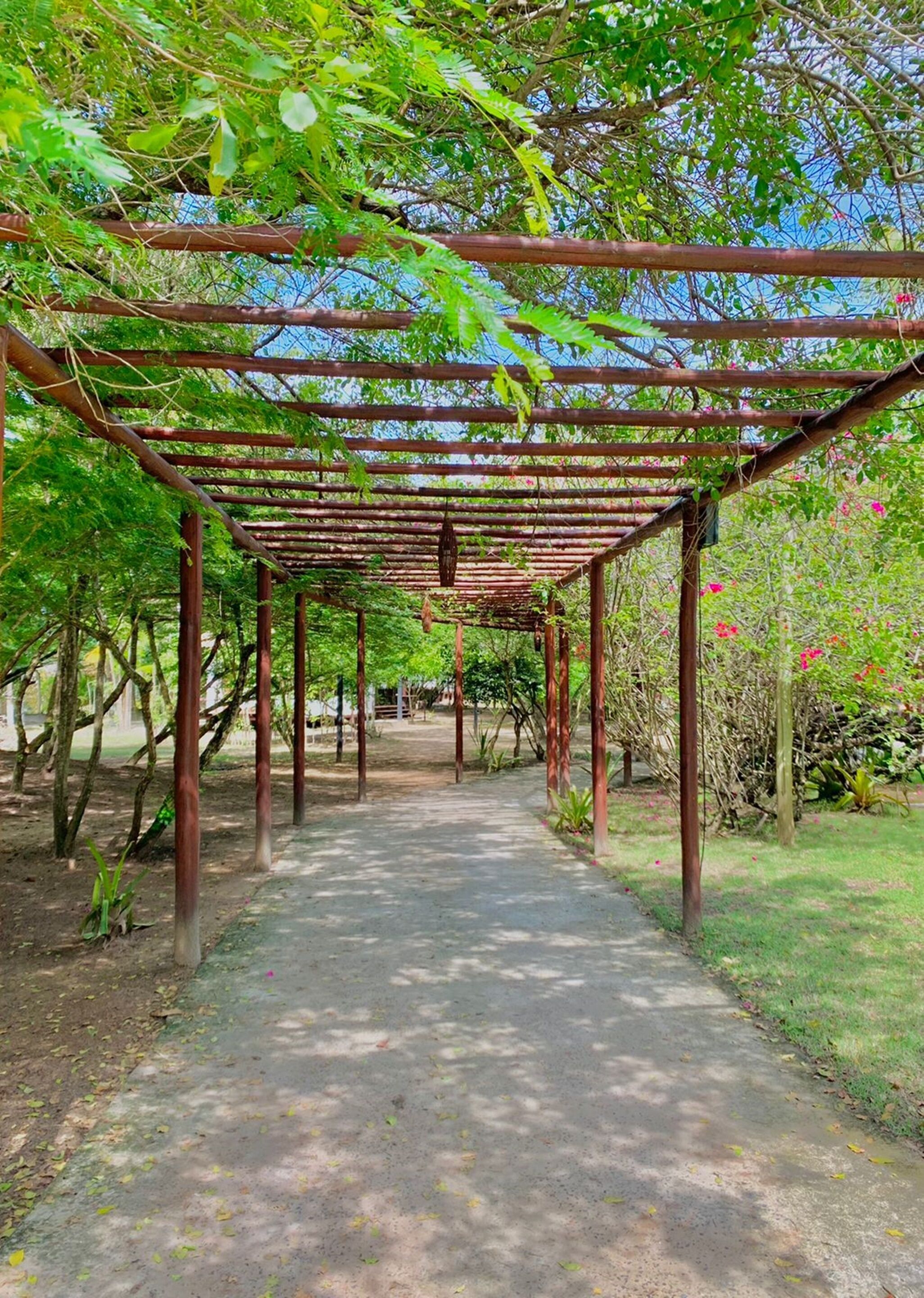 A covered walkway with a metal framework, surrounded by greenery and flowering plants.