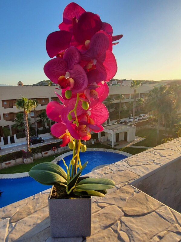 المنطقة المحيطة بالمنشأة