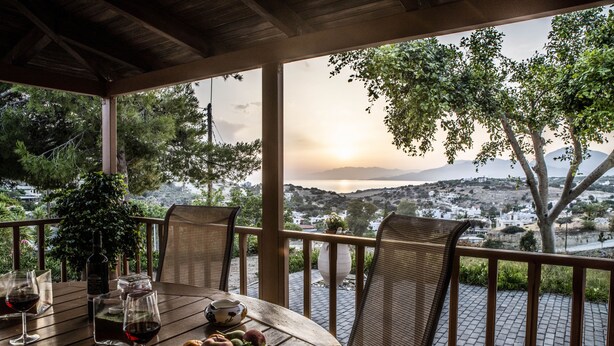 Una mesa de madera con copas de vino, una botella y fruta, con vista a un paisaje pintoresco con árboles y un horizonte lejano.