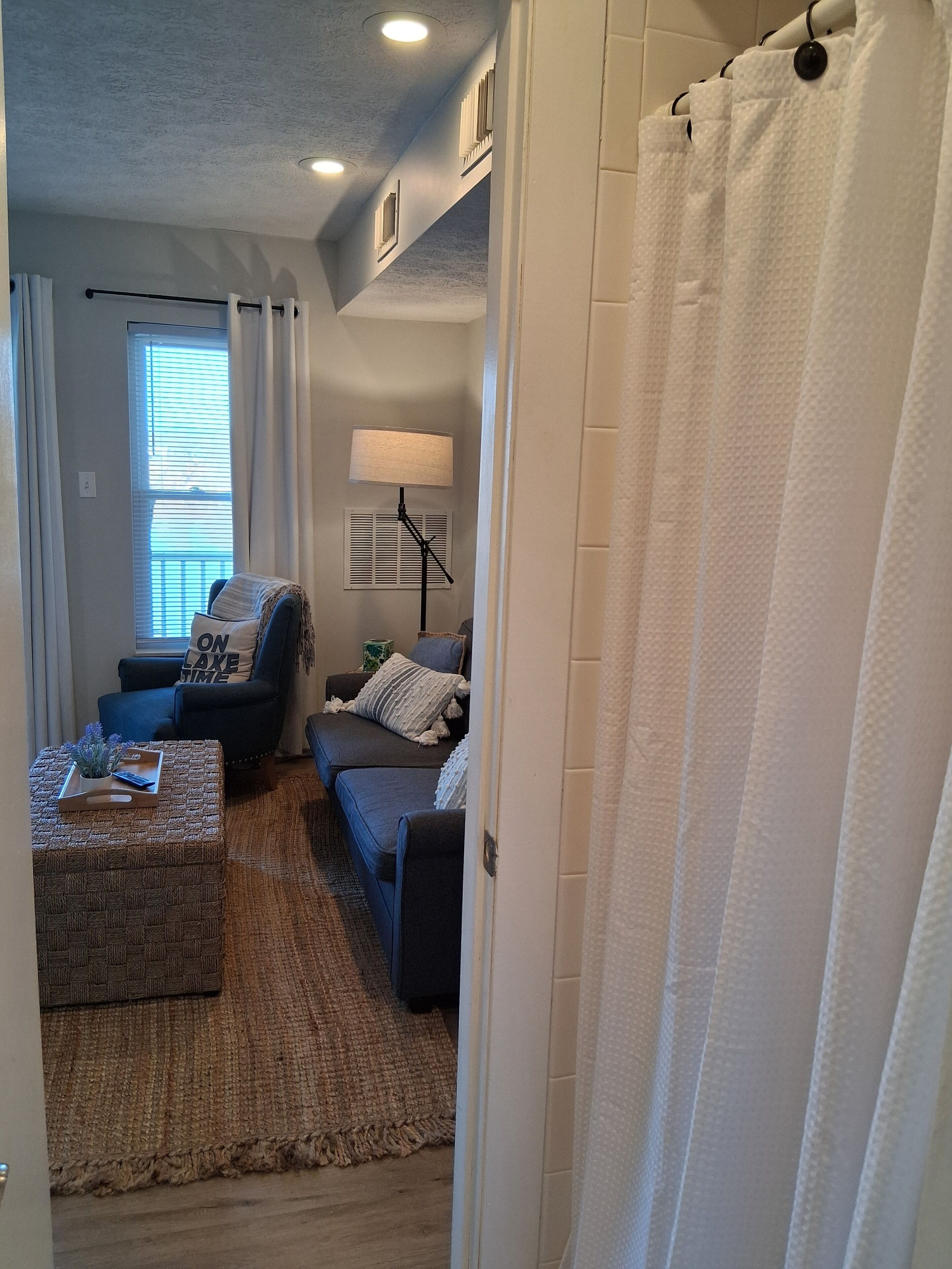 Smart TV, Netflix, streaming services