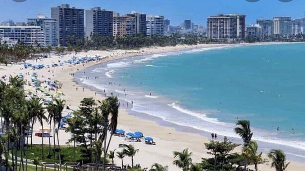 A beach with palm trees, a sandy shore, and a city skyline in the background. - Near airport / Isla Verde / Dinning & top attractions (Carolina)