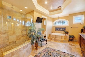 Combined shower/tub, jetted tub, hair dryer, towels