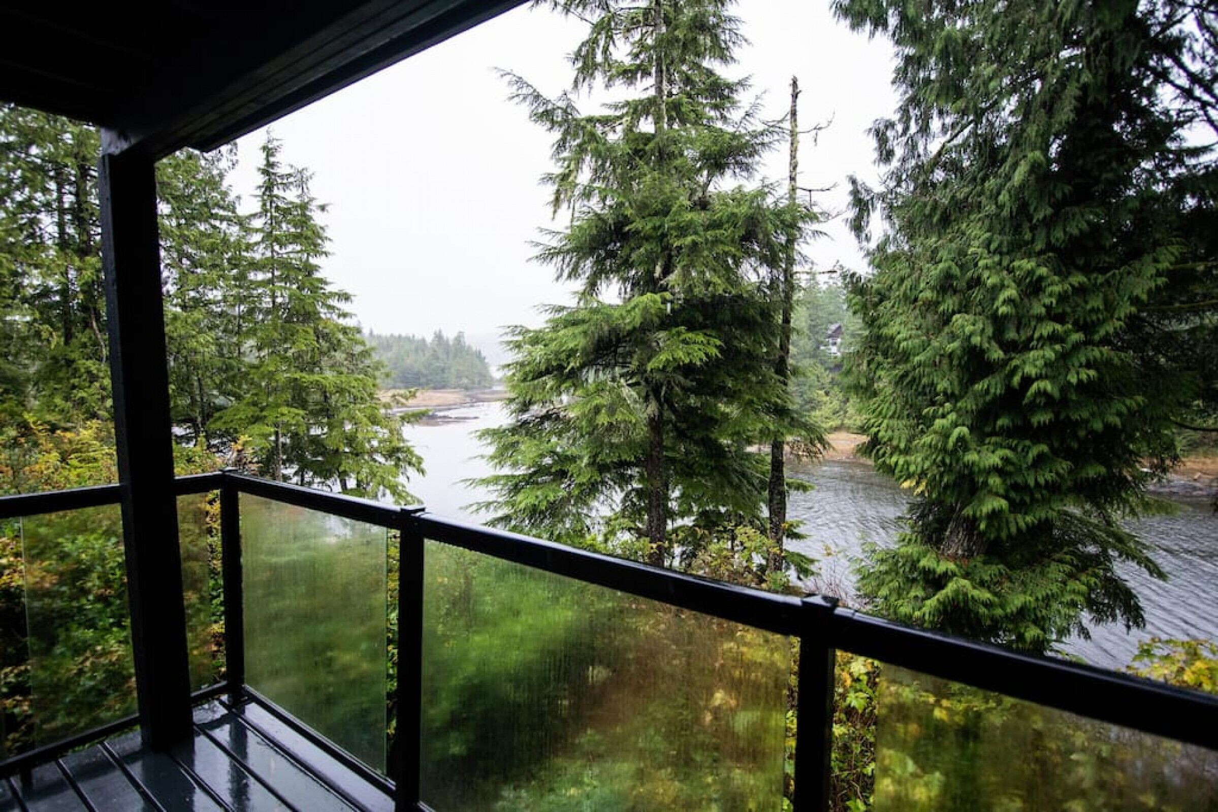 Une vue depuis une terrasse couverte donnant sur une rivière, avec une forêt dense et de grands arbres.